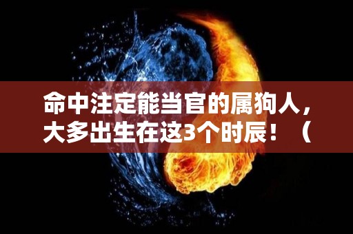 命中注定能当官的属狗人，大多出生在这3个时辰！（属狗人当领导怎么样）