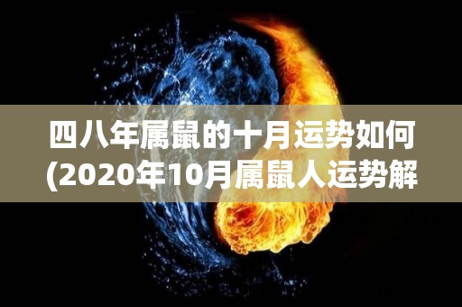 四八年属鼠的十月运势如何(2020年10月属鼠人运势解析：事业上进步稳定，感情关系和谐顺利)