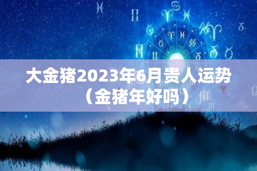 大金猪2023年6月贵人运势（金猪年好吗）