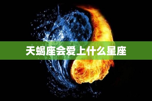 天蝎座会爱上什么星座