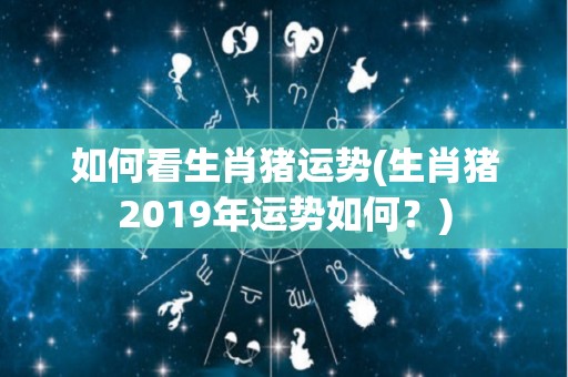 如何看生肖猪运势(生肖猪2019年运势如何？)