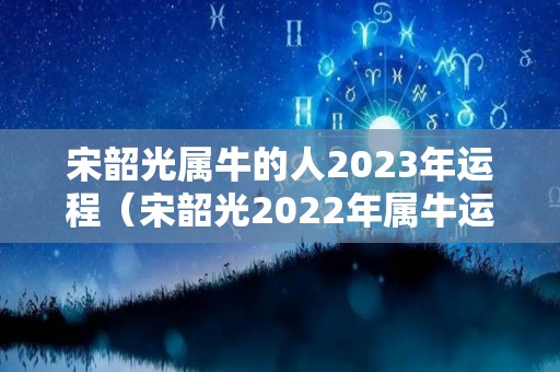 宋韶光属牛的人2023年运程（宋韶光2022年属牛运势）