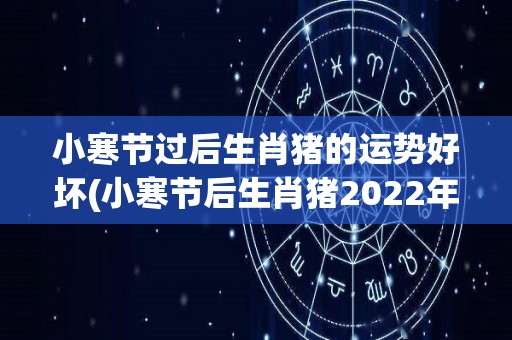 小寒节过后生肖猪的运势好坏(小寒节后生肖猪2022年的运势如何？)