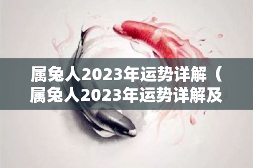 属兔人2023年运势详解（属兔人2023年运势详解及运程）