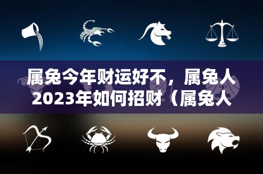 属兔今年财运好不，属兔人2023年如何招财（属兔人今年运势2023年每月运势）