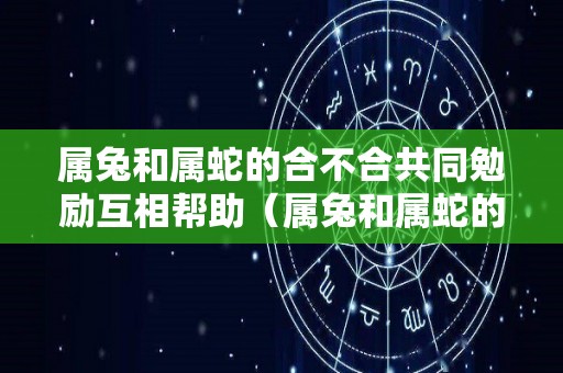 属兔和属蛇的合不合共同勉励互相帮助（属兔和属蛇的合不合得来）