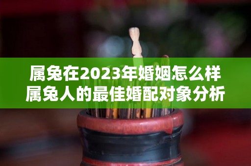 属兔在2023年婚姻怎么样属兔人的最佳婚配对象分析（属兔的在2023年的运势好不好呢）