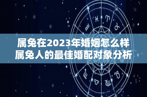 属兔在2023年婚姻怎么样属兔人的最佳婚配对象分析（属兔2023年感情运势）