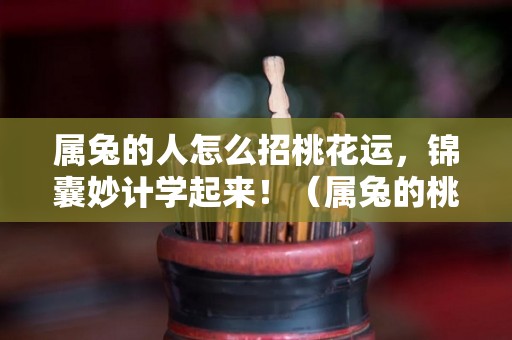 属兔的人怎么招桃花运，锦囊妙计学起来！（属兔的桃花运在哪个方向）