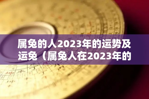 属兔的人2023年的运势及运兔（属兔人在2023年的运势如何）