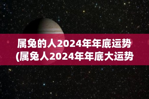 属兔的人2024年年底运势(属兔人2024年年底大运势)