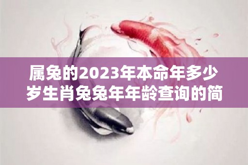 属兔的2023年本命年多少岁生肖兔兔年年龄查询的简单介绍