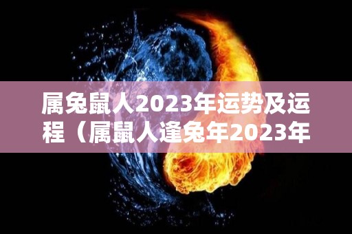 属兔鼠人2023年运势及运程（属鼠人逢兔年2023年）