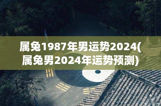 属兔1987年男运势2024(属兔男2024年运势预测)