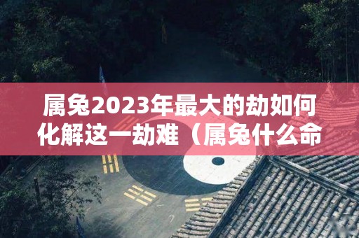 属兔2023年最大的劫如何化解这一劫难（属兔什么命2023）