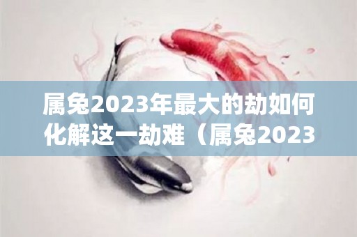 属兔2023年最大的劫如何化解这一劫难（属兔2023年运势及运程_2023年属兔人的全年运势）