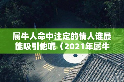 属牛人命中注定的情人谁最能吸引他呢（2021年属牛人找情人会如何）