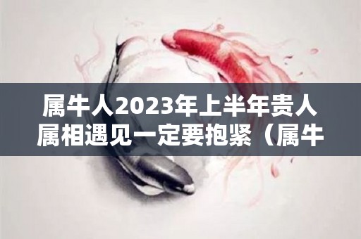 属牛人2023年上半年贵人属相遇见一定要抱紧（属牛人在2023年运气怎么样）