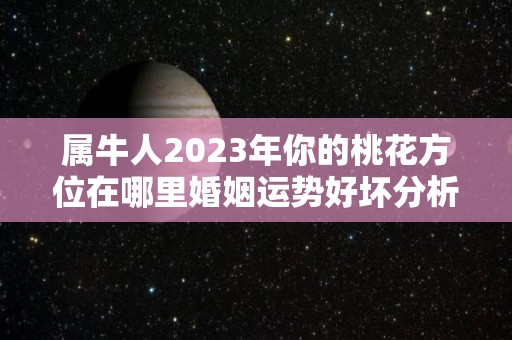 属牛人2023年你的桃花方位在哪里婚姻运势好坏分析（属牛人2023年运程）