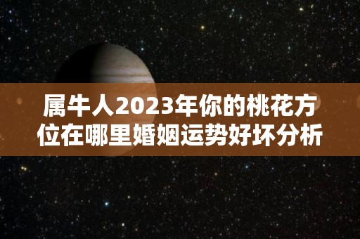 属牛人2023年你的桃花方位在哪里婚姻运势好坏分析（2023年属牛的感情婚姻运势）