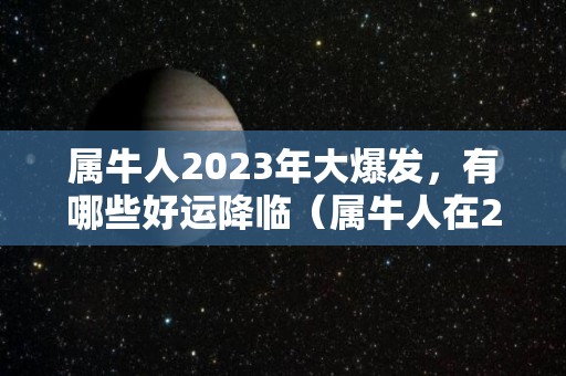 属牛人2023年大爆发，有哪些好运降临（属牛人在2023年的运势怎么样）