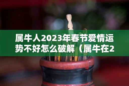 属牛人2023年春节爱情运势不好怎么破解（属牛在2023年全年运势如何）