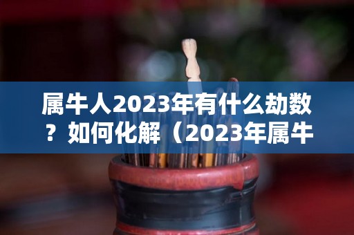 属牛人2023年有什么劫数？如何化解（2023年属牛人的全年运势详解）