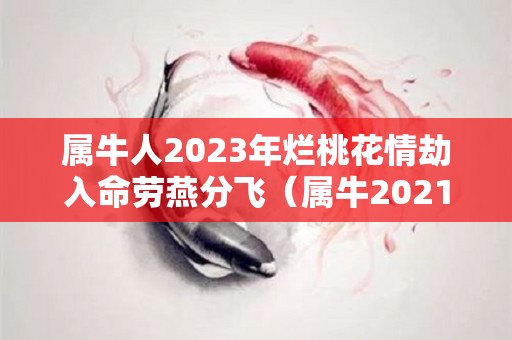 属牛人2023年烂桃花情劫入命劳燕分飞（属牛2021年烂桃花）