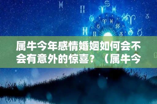 属牛今年感情婚姻如何会不会有意外的惊喜？（属牛今年爱情婚姻如何）