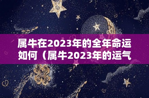 属牛在2023年的全年命运如何（属牛2023年的运气和财运怎么样）