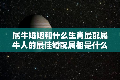 属牛婚姻和什么生肖最配属牛人的最佳婚配属相是什么（属牛的婚姻和什么属相最配相克）