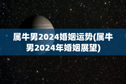 属牛男2024婚姻运势(属牛男2024年婚姻展望)