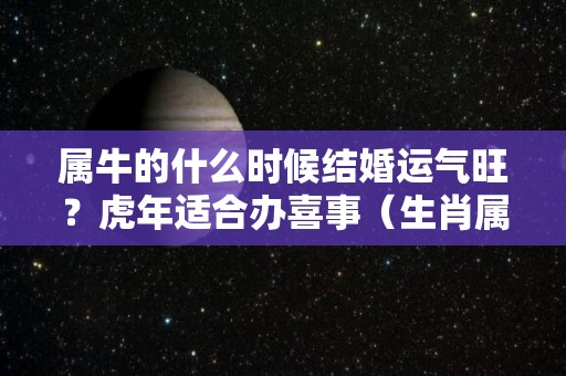 属牛的什么时候结婚运气旺？虎年适合办喜事（生肖属牛什么时候结婚好）