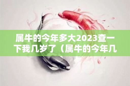 属牛的今年多大2023查一下我几岁了（属牛的今年几岁啦）