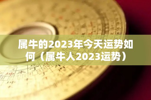 属牛的2023年今天运势如何（属牛人2023运势）