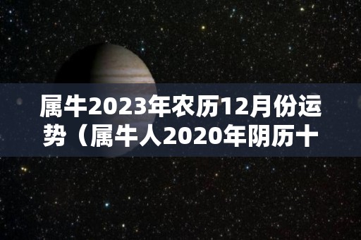 属牛2023年农历12月份运势（属牛人2020年阴历十二月份）