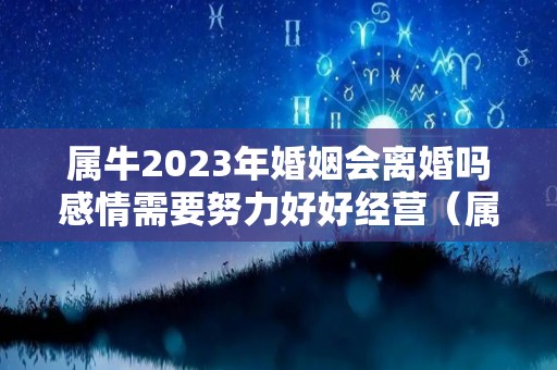 属牛2023年婚姻会离婚吗感情需要努力好好经营（属牛的人2023）