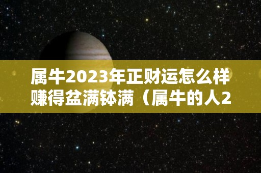 属牛2023年正财运怎么样赚得盆满钵满（属牛的人2023）