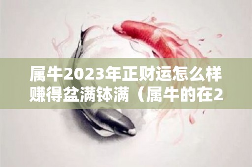 属牛2023年正财运怎么样赚得盆满钵满（属牛的在2023年的运势怎么样）