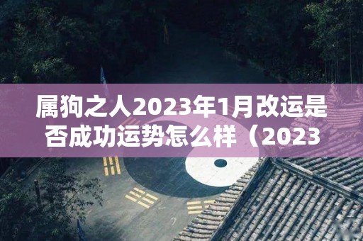 属狗之人2023年1月改运是否成功运势怎么样（2023年属狗人的全年每月运势）