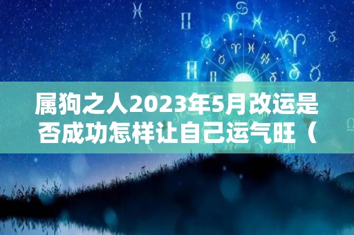 属狗之人2023年5月改运是否成功怎样让自己运气旺（2023年属狗人每月运势及运程）