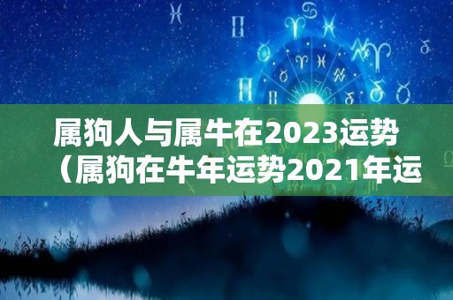 属狗人与属牛在2023运势（属狗在牛年运势2021年运势）