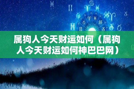 属狗人今天财运如何（属狗人今天财运如何神巴巴网）