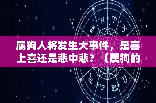 属狗人将发生大事件，是喜上喜还是悲中悲？（属狗的人会怎么样）