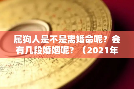 属狗人是不是离婚命呢？会有几段婚姻呢？（2021年属狗人会离婚吗）