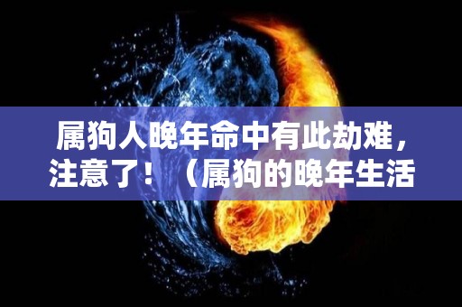 属狗人晚年命中有此劫难，注意了！（属狗的晚年生活）