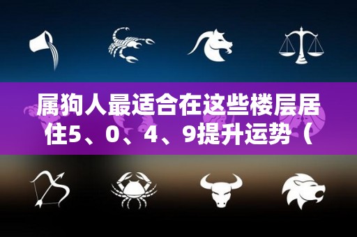 属狗人最适合在这些楼层居住5、0、4、9提升运势（属狗的人宜居的楼层）