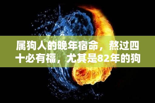 属狗人的晚年宿命，熬过四十必有福，尤其是82年的狗（82年属狗人一生运势40岁）