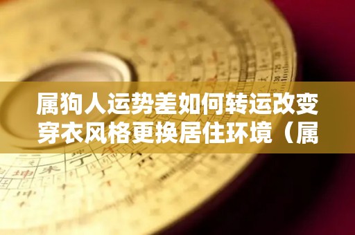 属狗人运势差如何转运改变穿衣风格更换居住环境（属狗的人2021年如何转运）