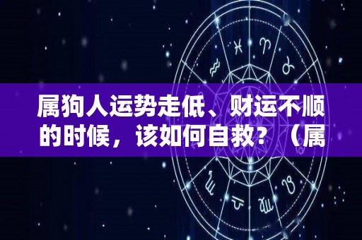 属狗人运势走低、财运不顺的时候，该如何自救？（属狗的人运气）